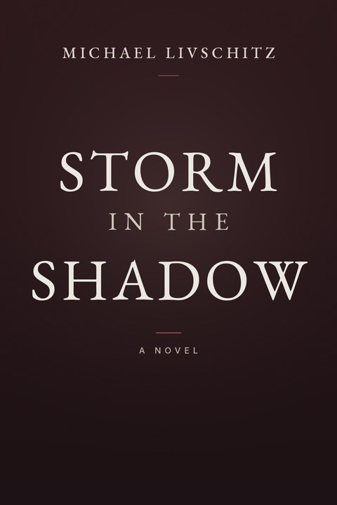 Storm in the Shadow by Michael Livschitz